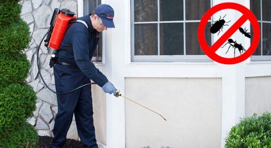 Karacabey Gümüşkurt İlaçlama böcek ilaçlama ve haşere kontrolü — ilaclama-tr.com